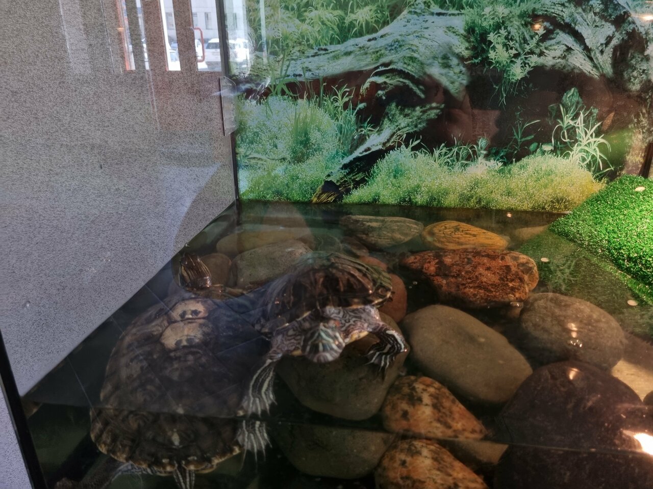 Гостиница Антей Новосибирск-71